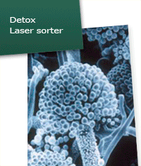 DetoxSorter Detox Laser sorter for aflatoxin detection