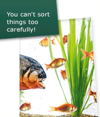 Be the BEST has no limit!